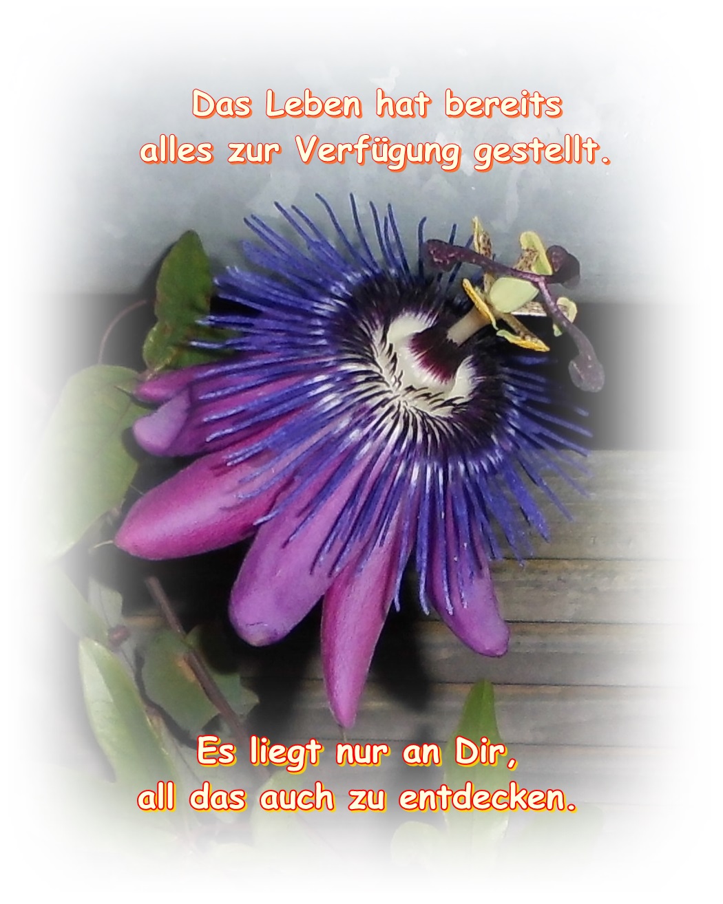 Glück, Auswahl