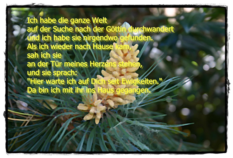 Ich habe die ganze Welt abgesucht