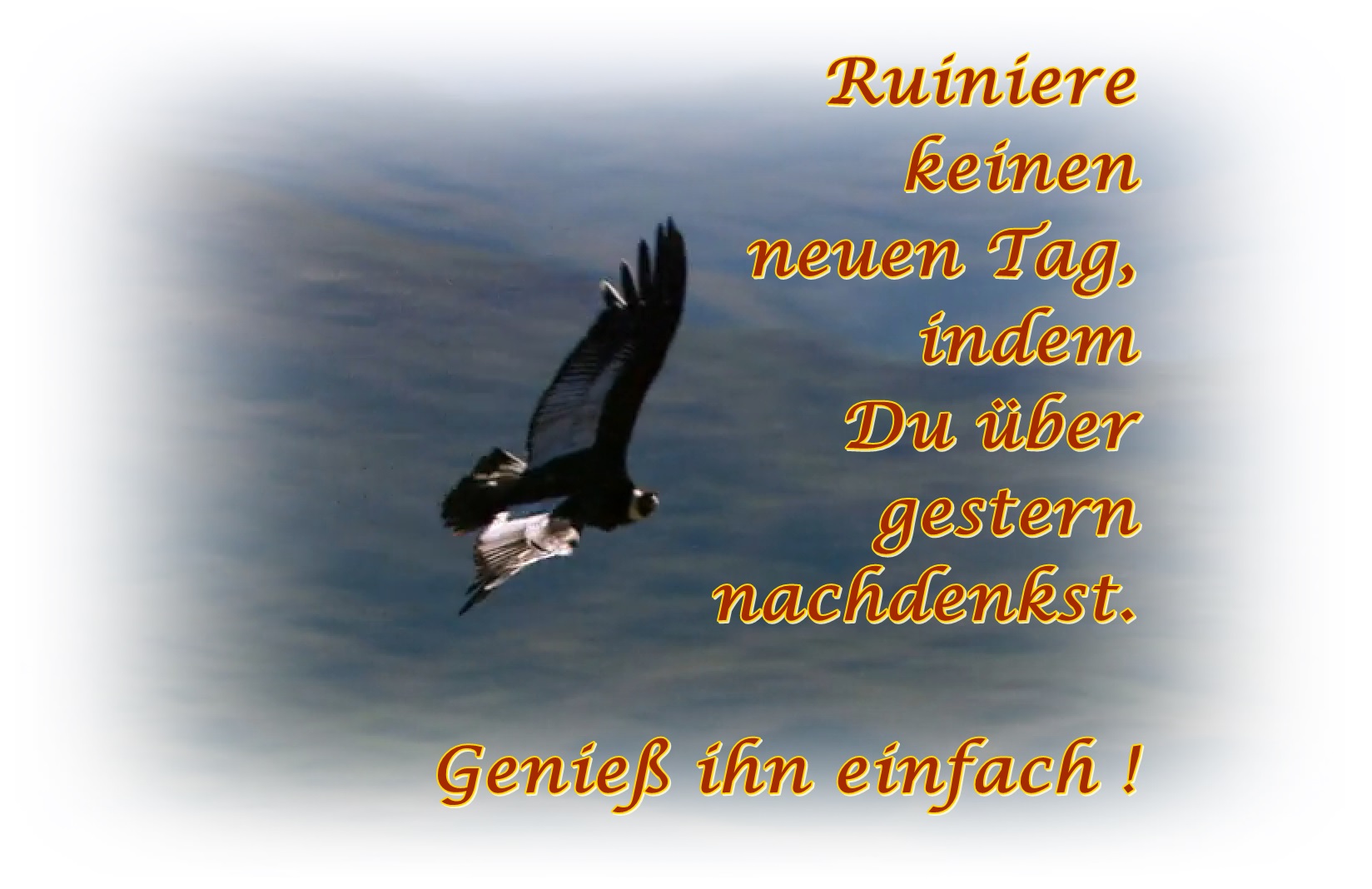 ein neuer Tag