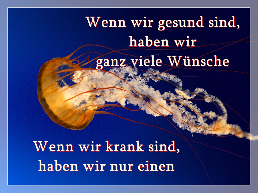 gesund-krank